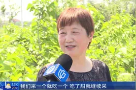 五月桑葚满枝头，酸酸甜甜散发出诱人果香，吸引游客前往采摘视频封面