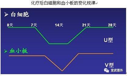 衅兰英