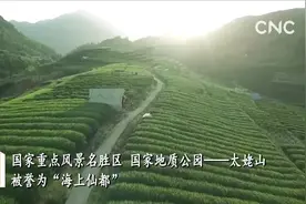 非遗中国|太姥山与白茶的故事视频封面