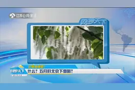 五月的北京居然“下雪”啦？杨柳种子接连炸裂，漫天飞絮令人瞠目视频封面