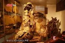 贵州侗族根雕师潜心钻研技艺 在树根上留下民族文化印记视频封面