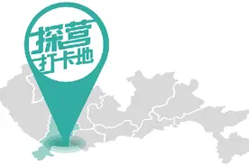打卡深圳湾，来候鸟天堂看200余种鸟翩然起舞，在花海里拍拍拍图片