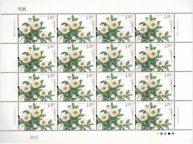 胶花芍药 2026年芍药花有胶汁还能开花吗