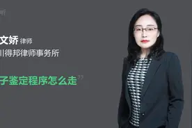 亲子鉴定程序怎么走视频封面