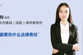 碰瓷要负什么法律责任视频封面