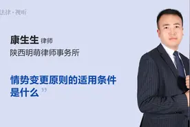 情势变更原则的适用条件是什么视频封面