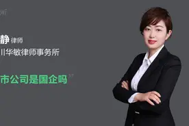 上市公司是国企吗视频封面