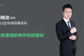 债务重组的条件包括哪些视频封面