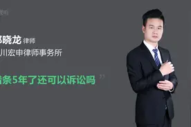 借条5年了还可以诉讼吗视频封面
