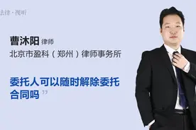 委托人可以随时解除委托合同吗视频封面