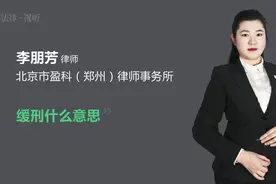 缓刑什么意思视频封面