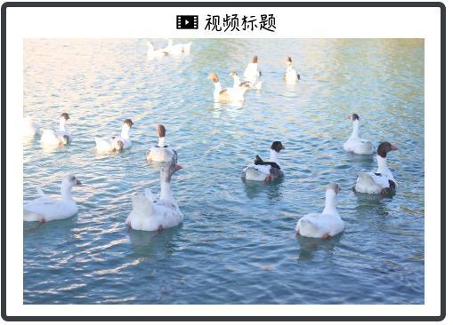 和平精英下载入口官网 刺激战场下架原因是什么 刺激战场宣布停服