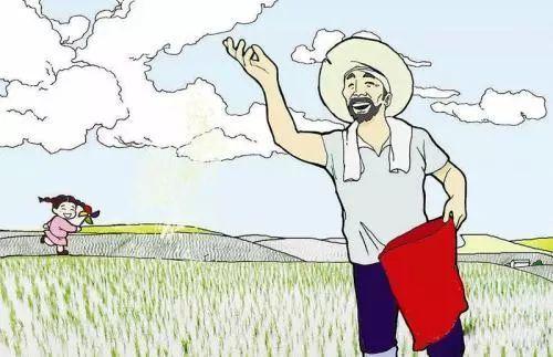 肥料常识小集合：能让作物增产的锌肥和氨基酸微肥！