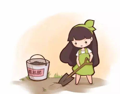 肥料常识小集合：能让作物增产的锌肥和氨基酸微肥！