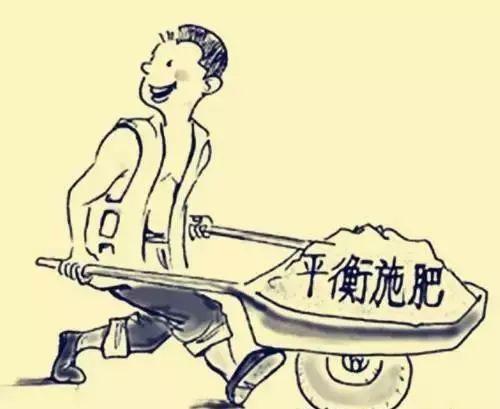 肥料常识小集合：能让作物增产的锌肥和氨基酸微肥！