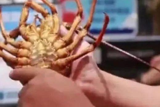 新车次日出问题，屡修不好退货无门？广西消费维权十大典型案例公布