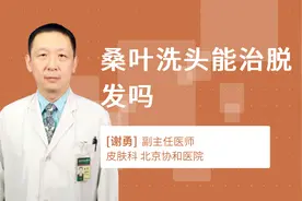 桑叶洗头能治脱发吗