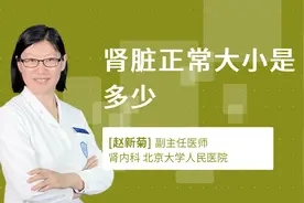 肾脏正常大小是多少视频封面