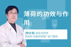 薄荷的功效与作用