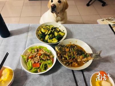 肉蓉花胶汤 肉苁蓉花胶煲汤的做法