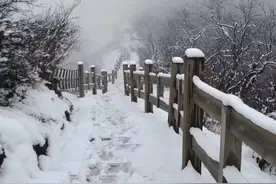 青蕉拍客丨实拍，成都夏天的雪！西岭雪山立夏后飞雪啦视频封面