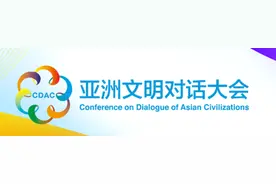 是世界性乐器？还是中国民族乐器？图片