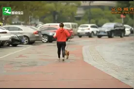 养狗的义乌人抓紧！本月底前未办理犬类登记将被处罚！视频封面