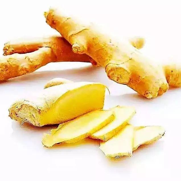 椰子花胶炖汤做法大全 椰子花胶炖汤做法大全视频