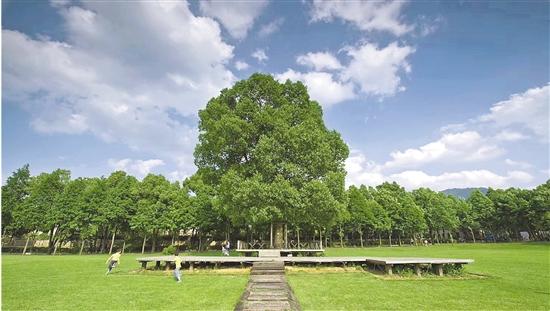 米勒山庄11攻略（巴比松米勒庄园如何涅槃重生）