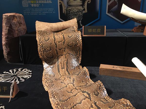 石首鱼鱼鳔图片 2026年石首鱼鱼鳔图片高清