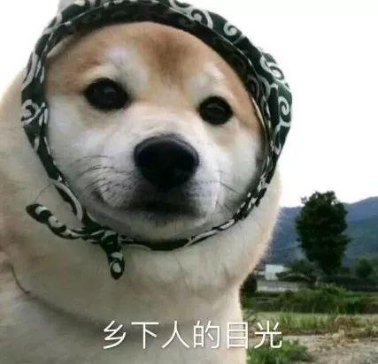 完了，物理所被「入侵」了...
