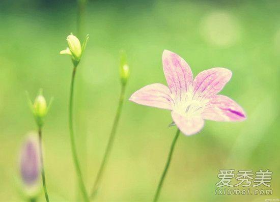 母亲节朋友圈说说怎么发？当妈后的第一个母亲节朋友圈怎么发