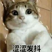 房价又涨了？！唐山5月最新房价出炉！快来看看你能买哪里的房！