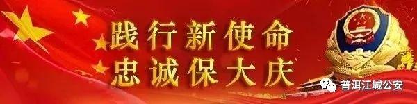 520警察求生攻略，你确定你不想看一眼？