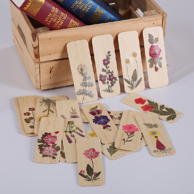 押花 滴胶 2026年花 滴胶