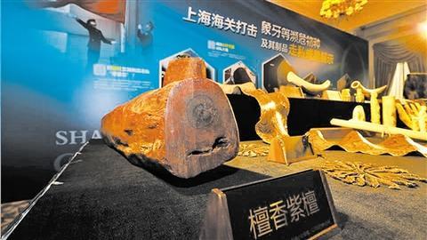 最名贵的花胶是什么鱼 2026年最贵的花胶品种是什么