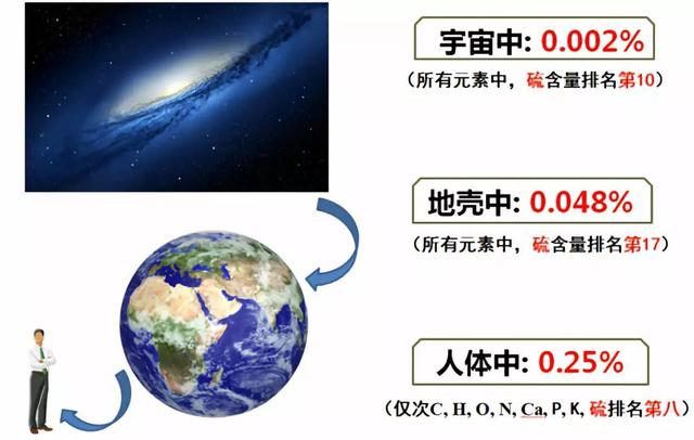 不可或缺的生命元素
