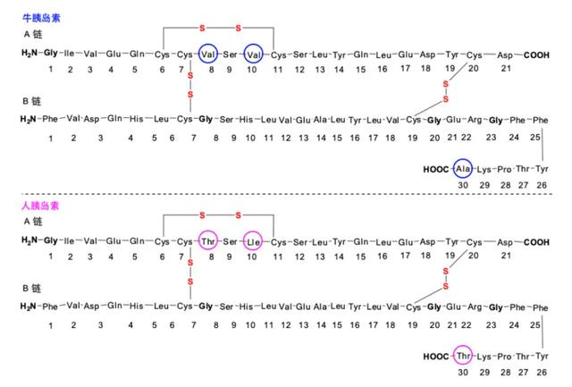 不可或缺的生命元素
