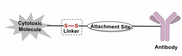 不可或缺的生命元素