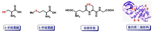 不可或缺的生命元素