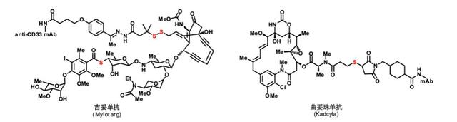 不可或缺的生命元素
