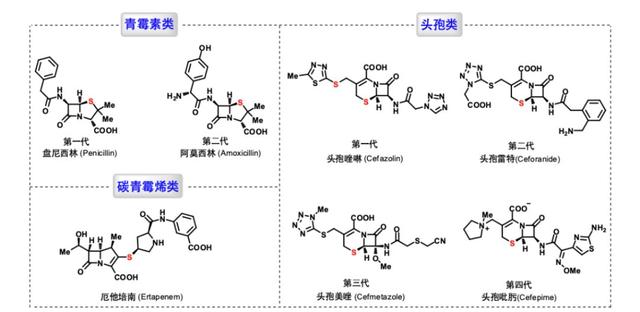 不可或缺的生命元素
