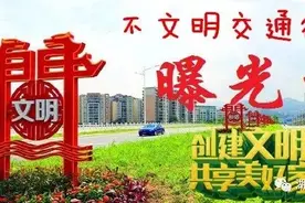 第271期拍客举报的交通违法加塞车辆公布图片