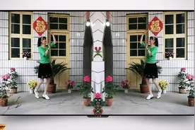 泰安天宝时家庄红叶广场舞《万爱千恩》视频封面