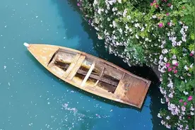 看完这篇，爱上了初夏的南京图片