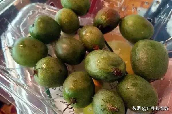 猕猴桃和奇异果到底有什么区别？你可别买错了
