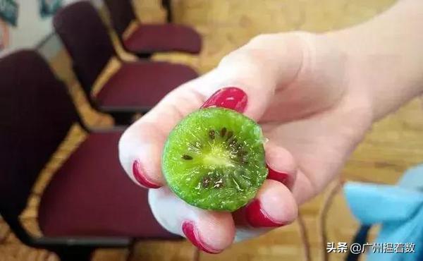 猕猴桃和奇异果到底有什么区别？你可别买错了