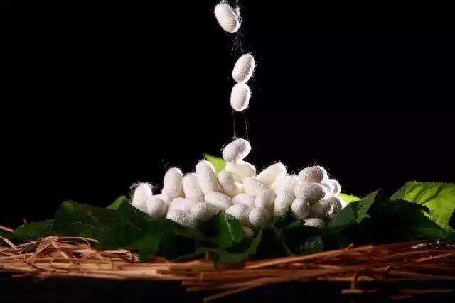 80%鐨勫绉戠柧鐥呴兘鍜屽唴瑁ゆ湁鍏筹紒铓曚笣鍐呰￥鍛婂埆涓嶉€? onerror=