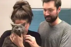 泥石流袭来夫妻俩逃生将猫遗忘，当见到猫活着时他们泪流满面图片