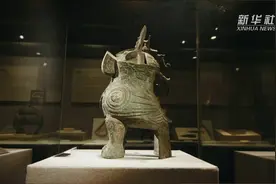 寻宝中华丨传奇女将军“代言人”—— 妇好鸮尊视频封面